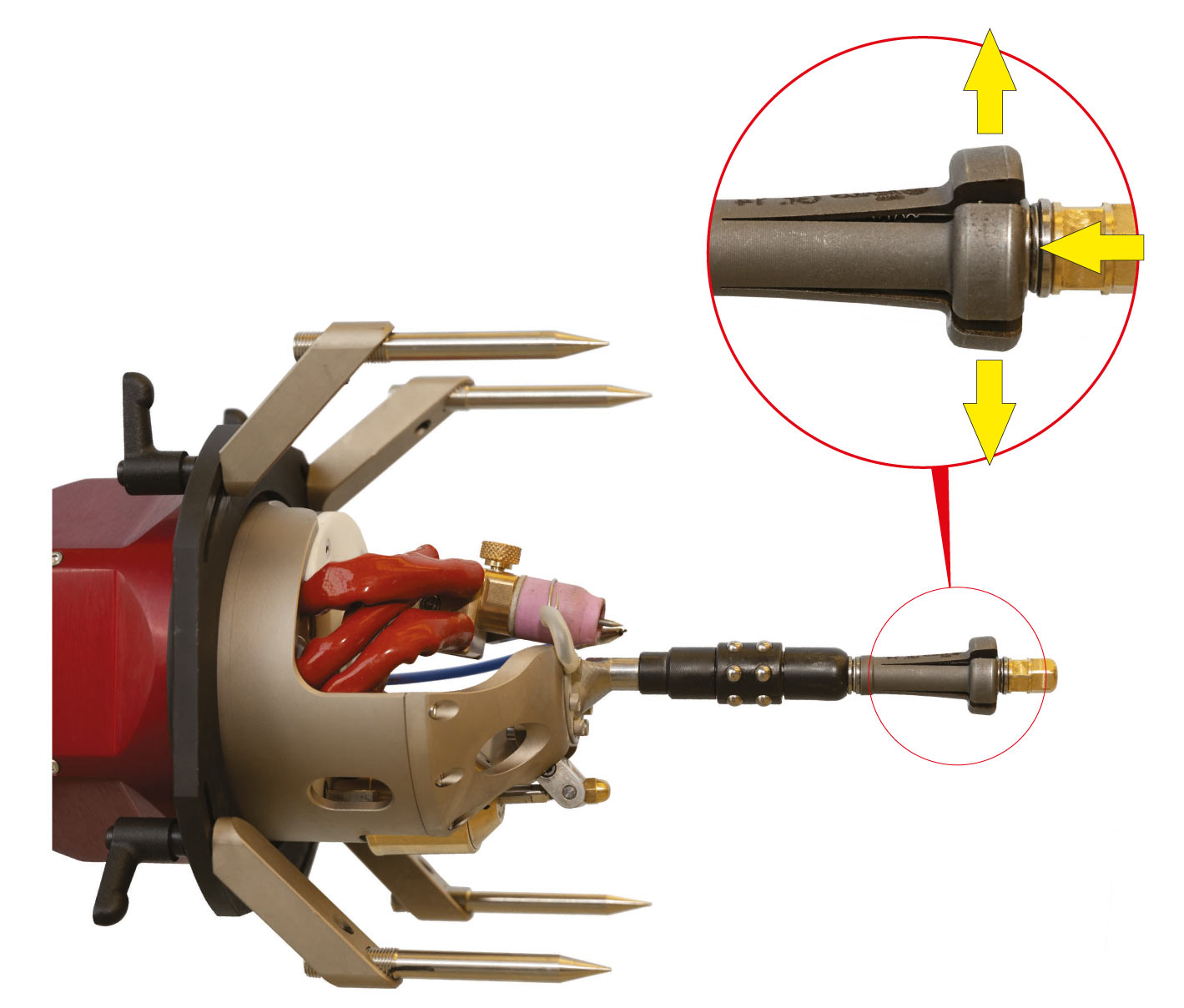 Maus Italia - Giotto Full control - Argo Clamp