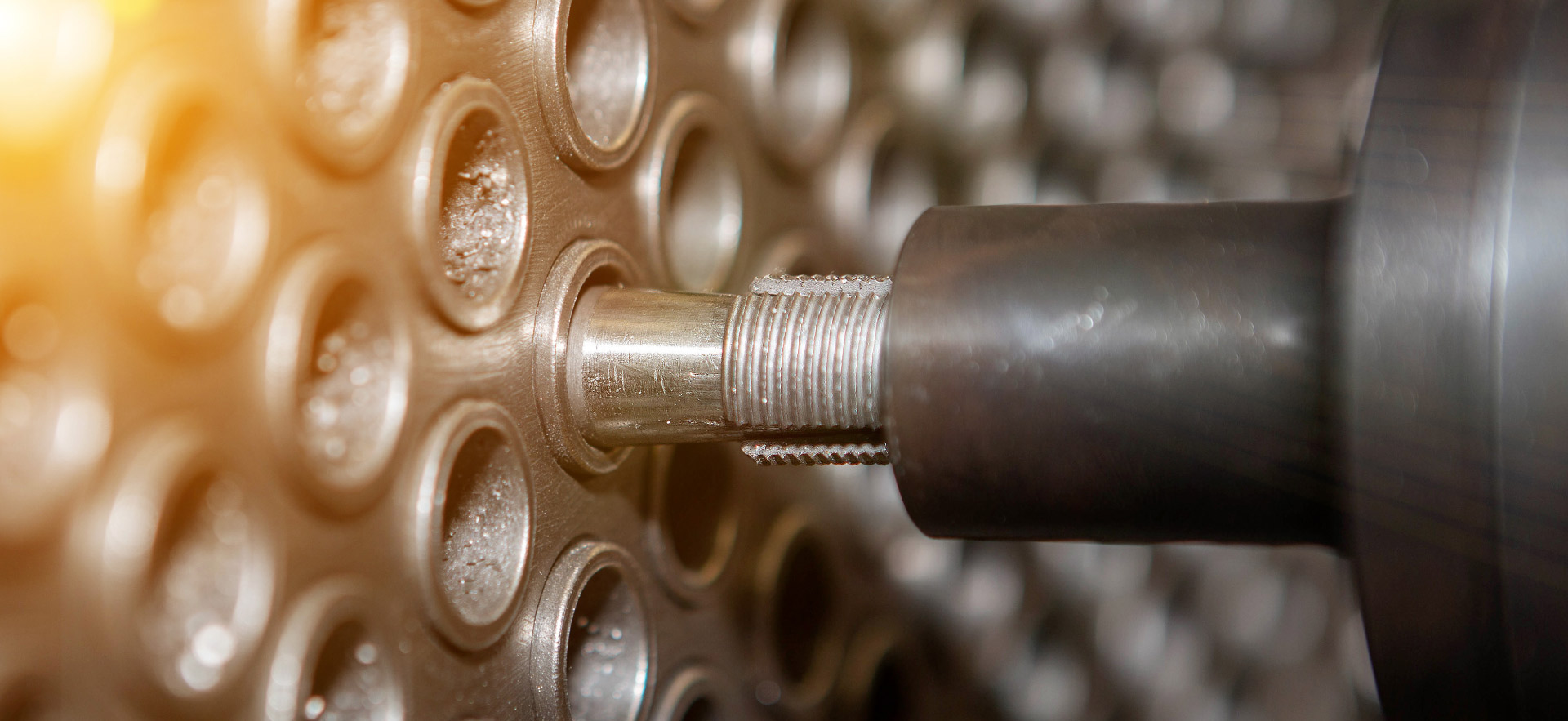 Maus Italia - Grippul